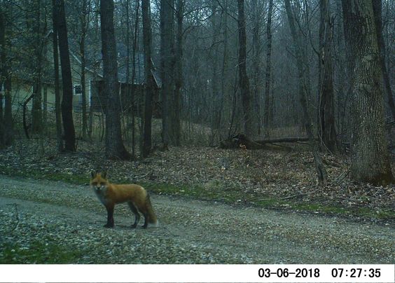 c025281c6df78895d99cb7f607b84927